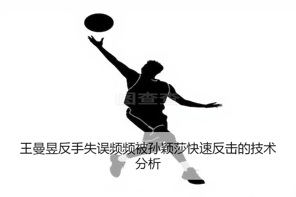 wang-man-yu-fan-shou-shi-wu-pin-pin-bei-sun-ying-sha-kuai-su-fan-ji-de-ji-shu-fen-xi-2-744.jpg